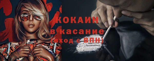твердый Пересвет