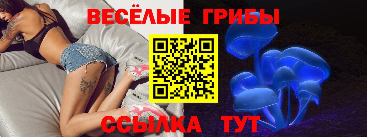 Галлюциногенные грибы Psilocybine cubensis Майский