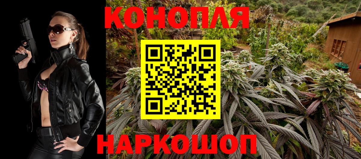 Бошки Шишки семена Майский